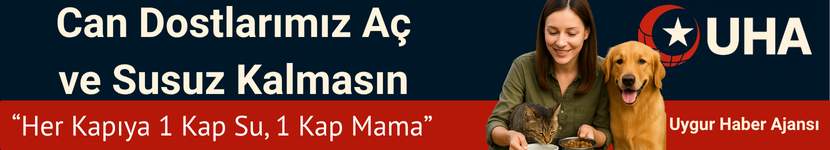 Reklam Bloğu