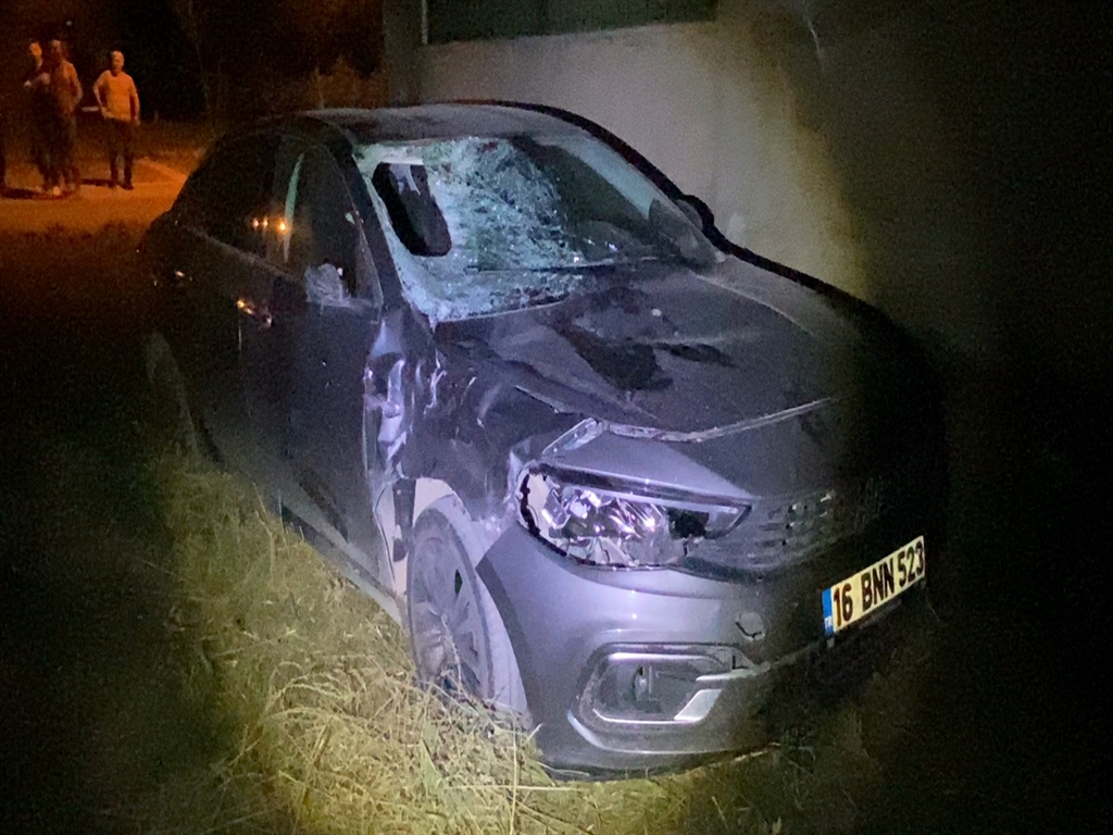 Ehliyetsiz Sürücü