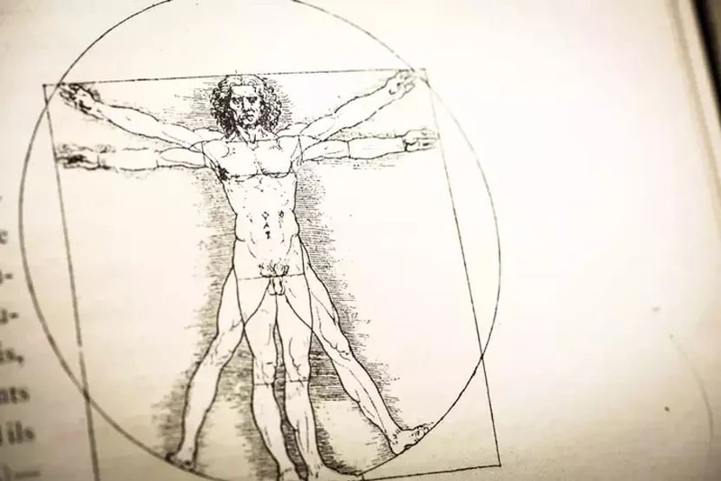 02Da Vinci