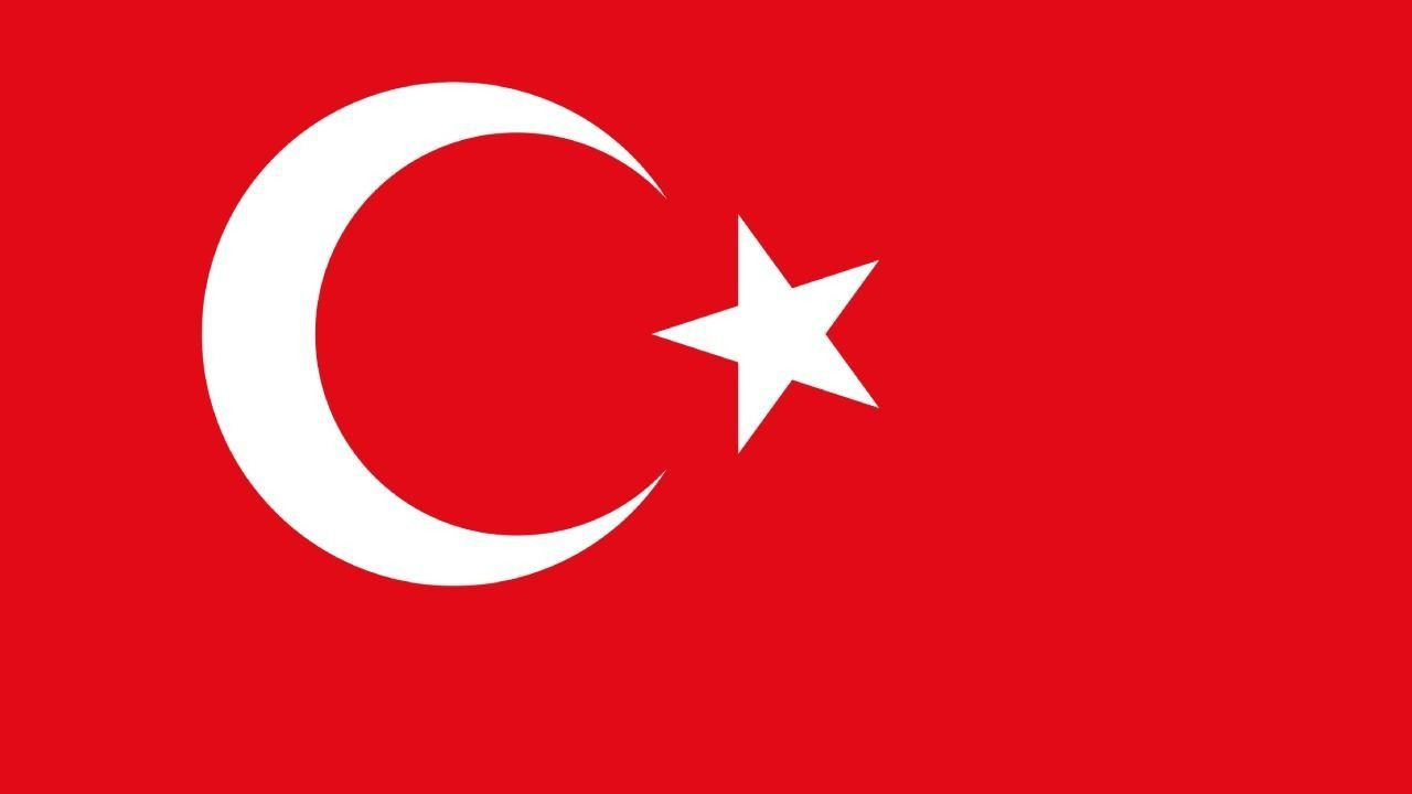 2. 🇹🇷 Türkiye – %46