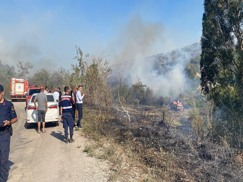 Adana'da Orman Yangını-4