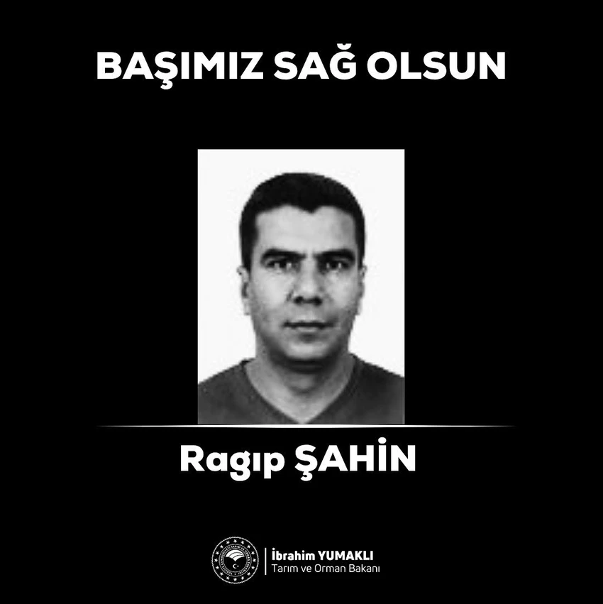 Şehit Yangın