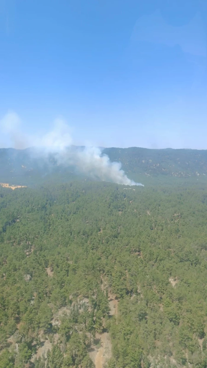 Mersinde Orman Yangini 859176 25490 Zlws