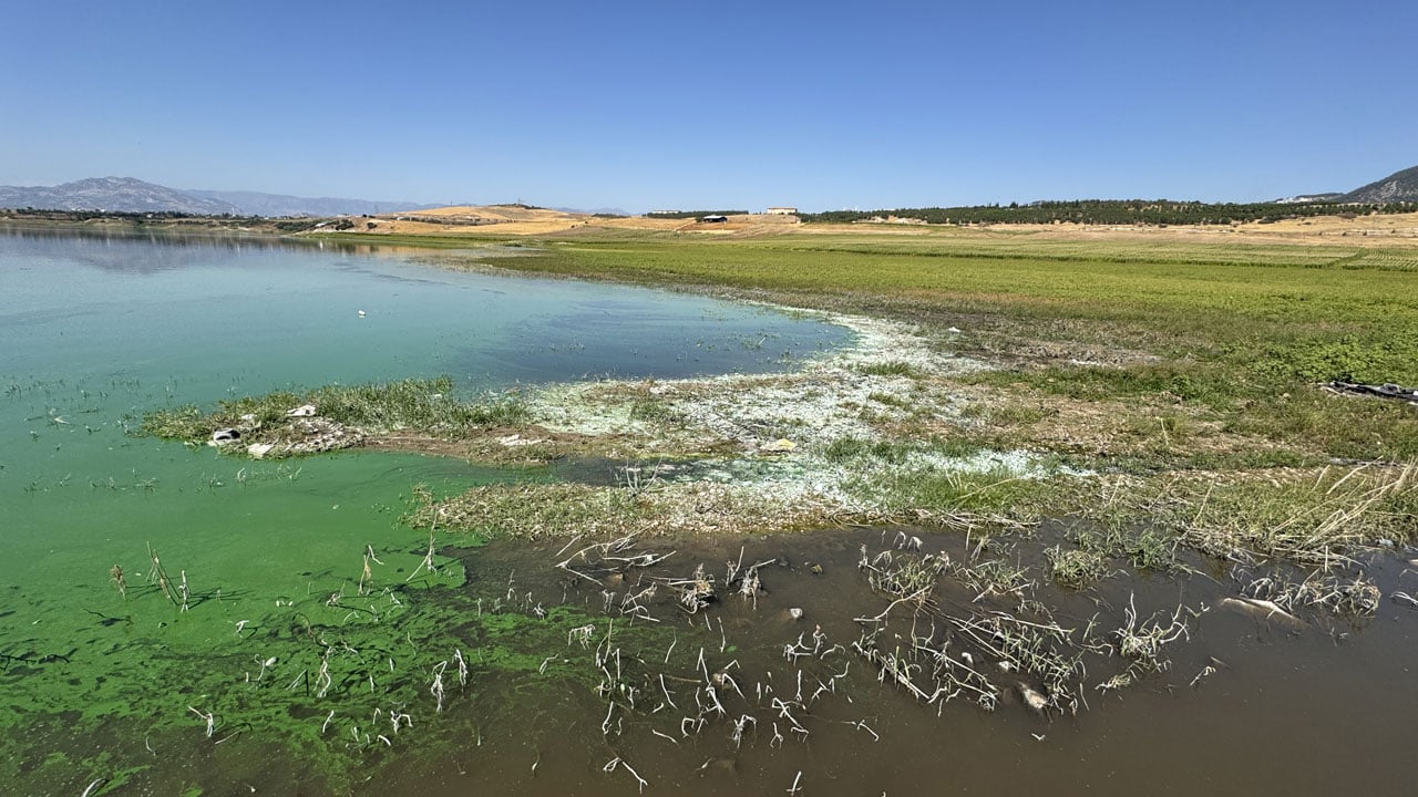 2222Korkutan Manzara! Kahramanmaraş’ta Gizemli Balık Ölümleri