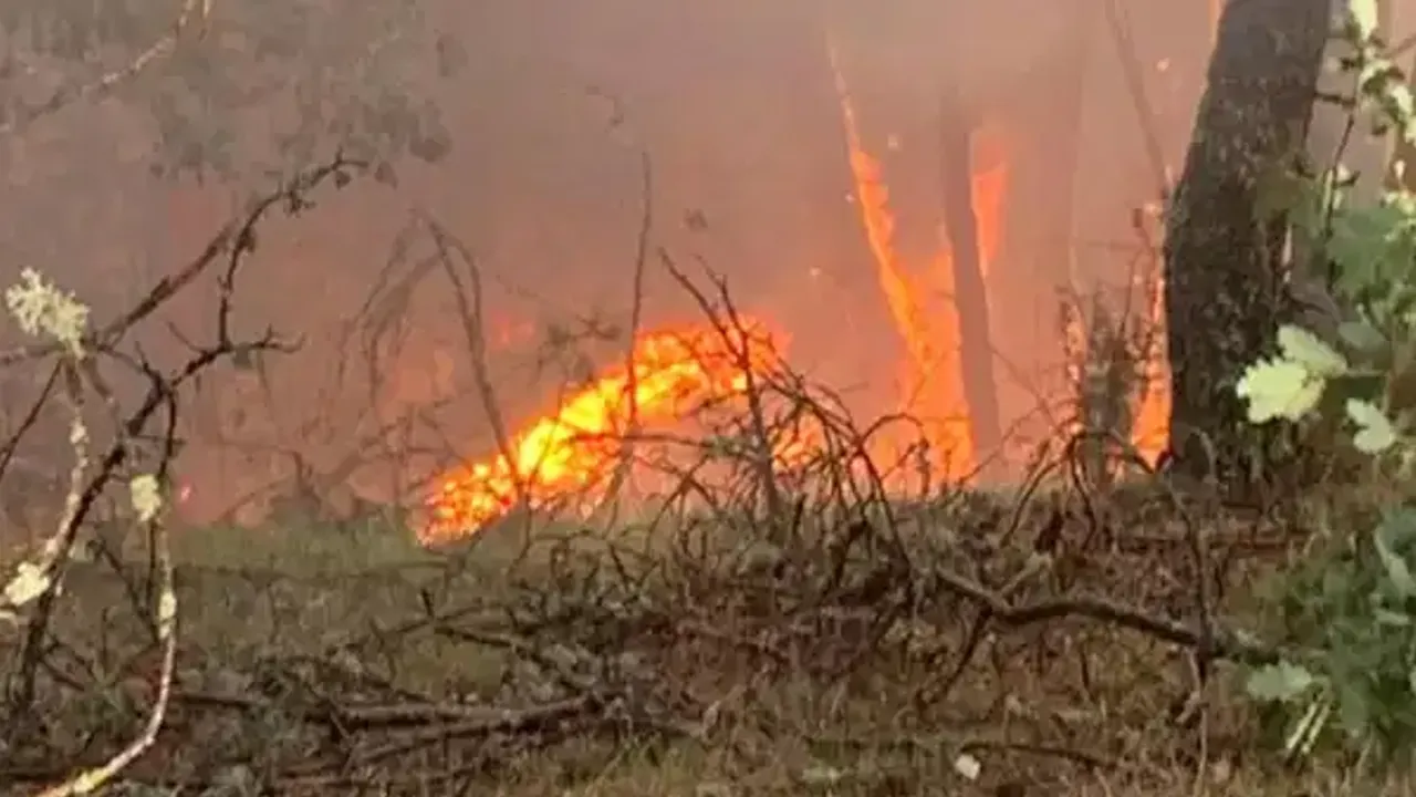 Bursa’dan Sonra Karabük’te Korkutan Yangın
