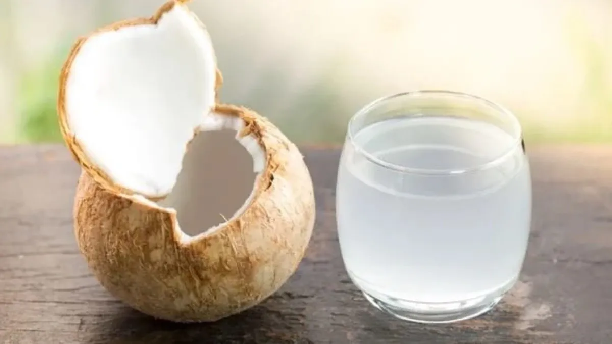 Hindistan Cevizi Suyu