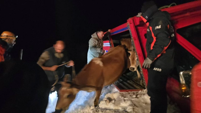 Yeni Proje 2025 09 23T064614 D0Lz