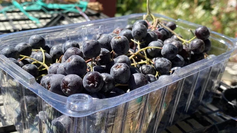 Yeni Proje 2025 09 23T104734 Uuhx