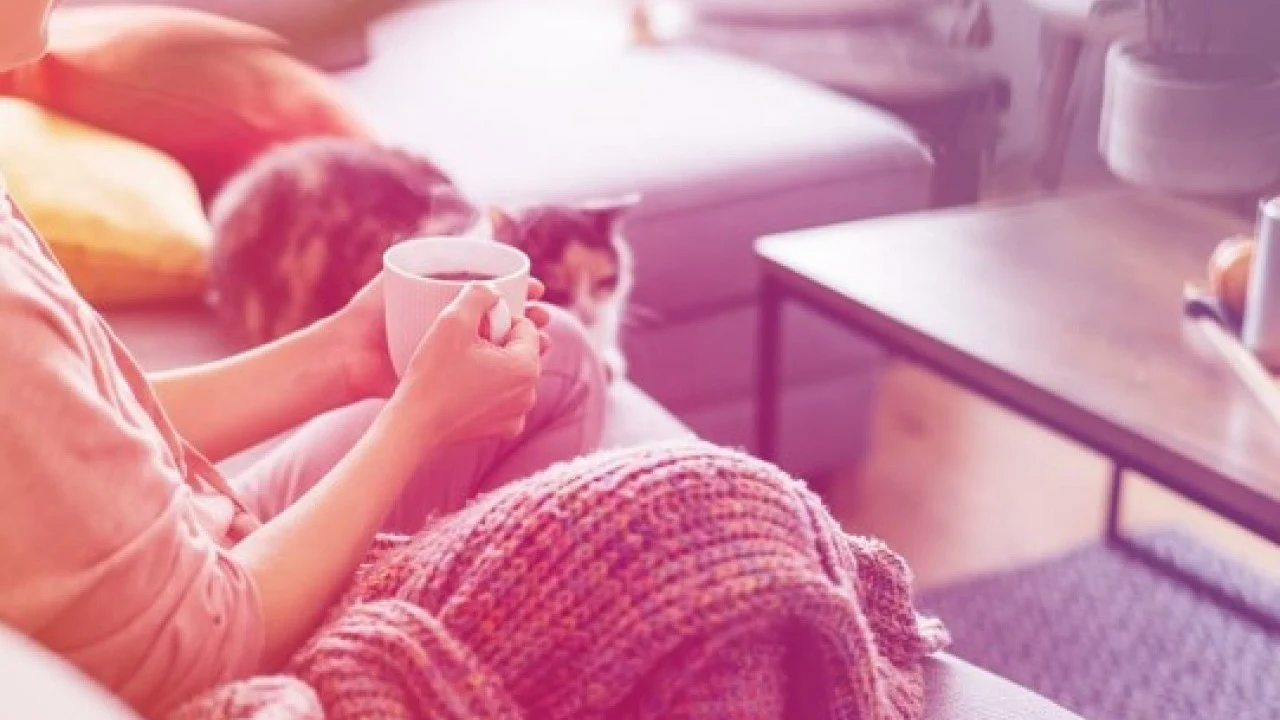 8888Norveçlilerin Isınma Şeklinorveçlilerin Isınma Şekli