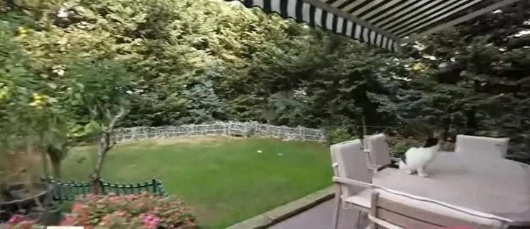 000İşte Usta Sanatçinin Hayran Birakan Evi̇!-2