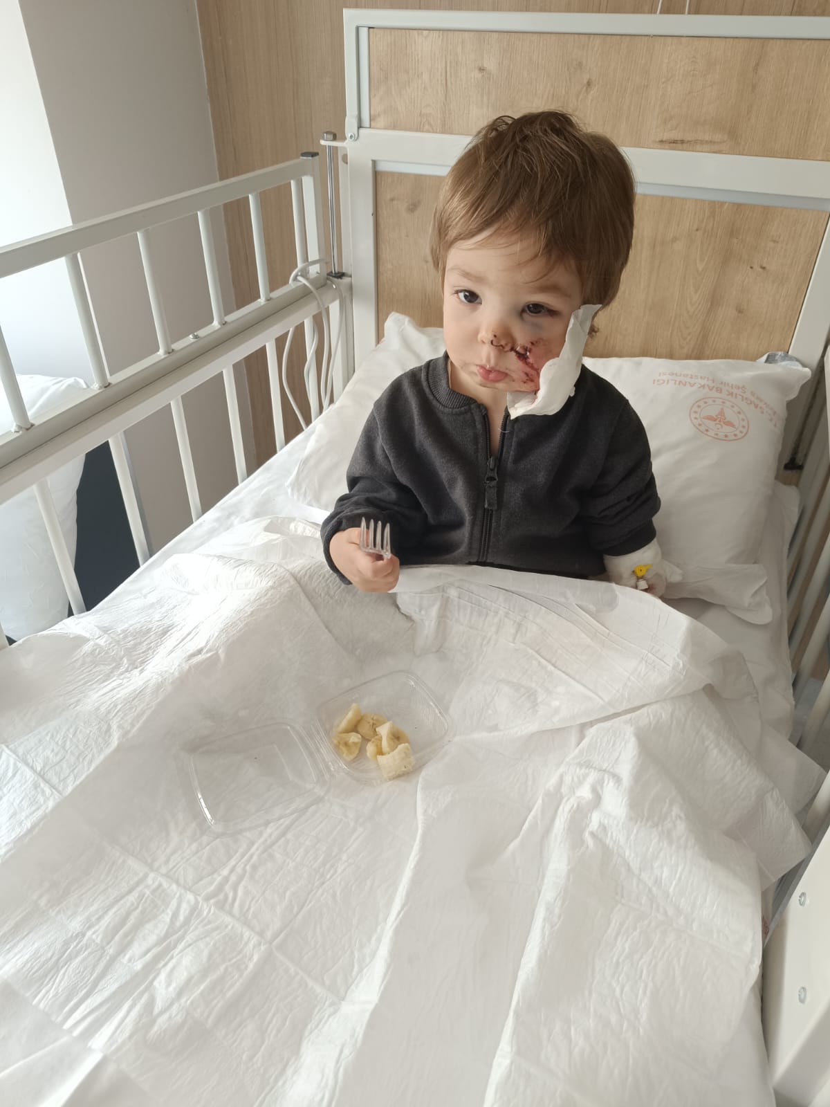 2 K A R D E S I Y A R A L A Y A N P I T B U L L U N S A H I B I K O 1049159 311339