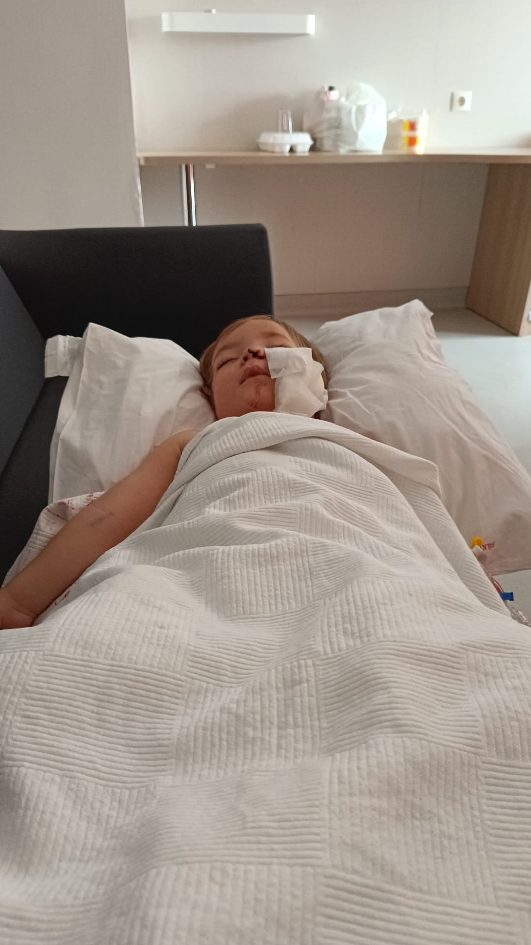 2 K A R D E S I Y A R A L A Y A N P I T B U L L U N S A H I B I K O 1049160 311339