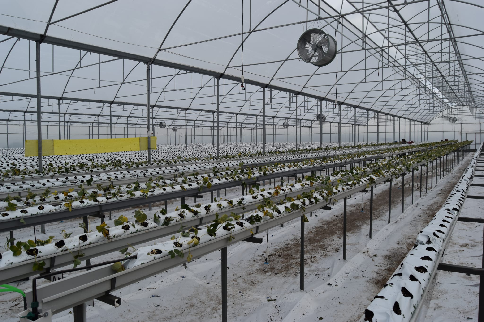 4 B I N M E T R E K A R E L I K S E R A D A D O R T M E V S I M T O 1058316 314056