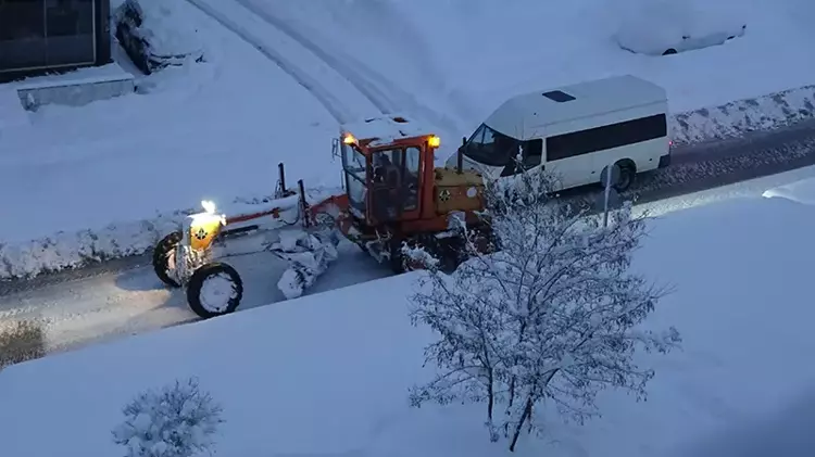 65A3946E5F4904E245504262