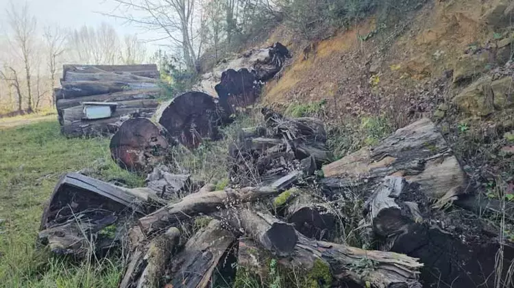 69451Bfba322C59Cc7857A0C