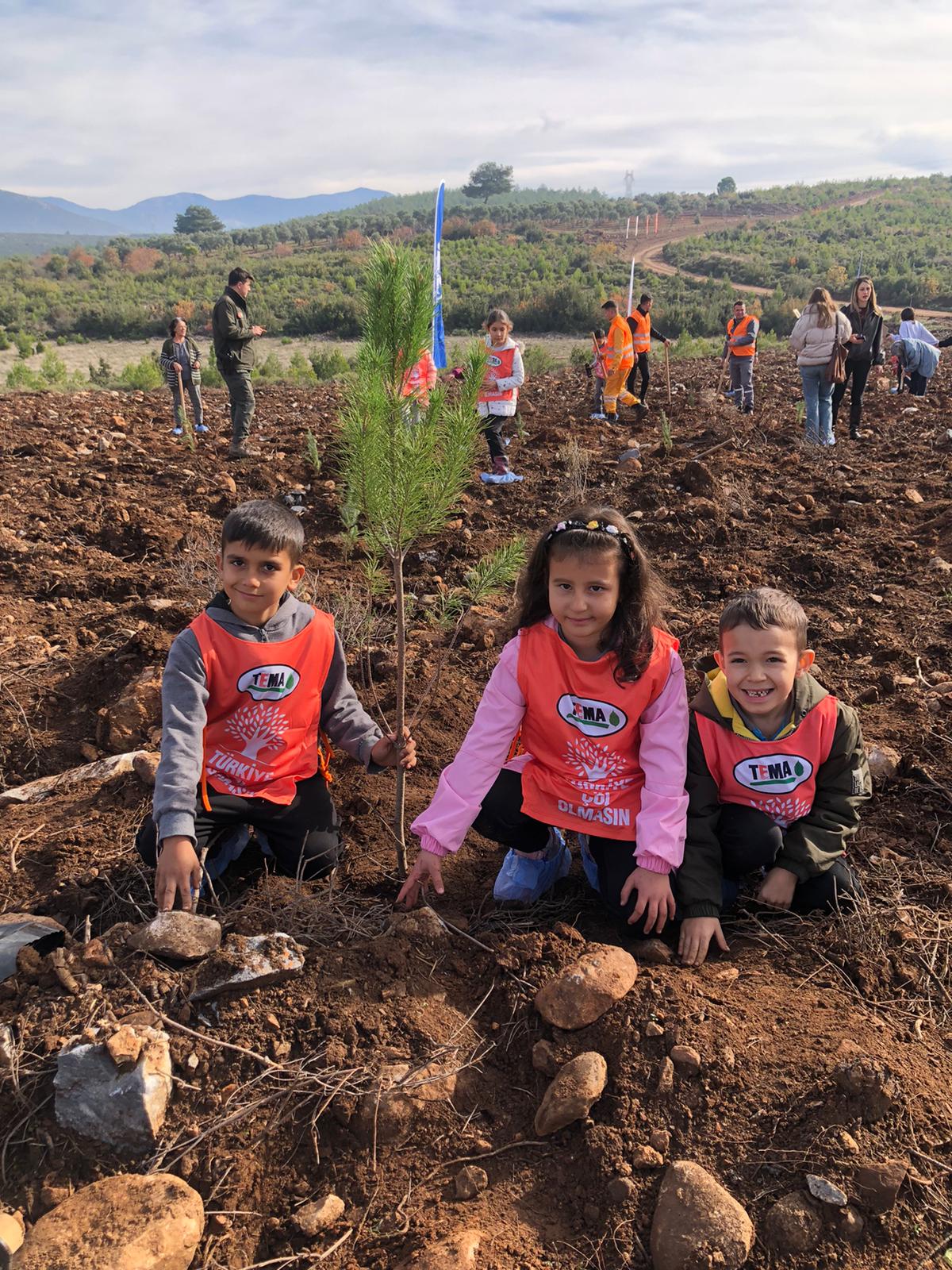 81 I L D E 81 O R M A N P R O J E S I M U G L A I L E D E V 1045567 310280