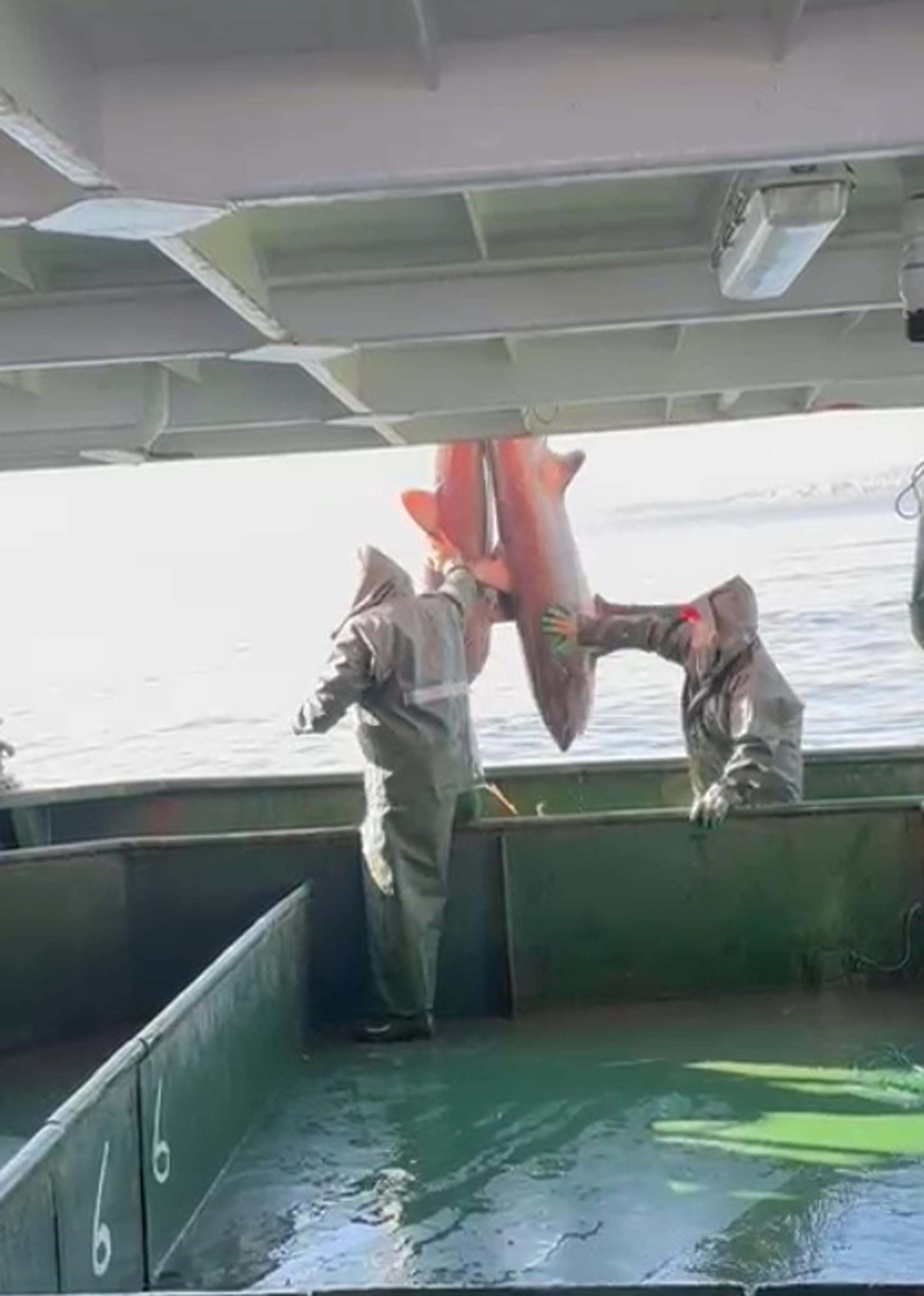 A G L A R I N A T A K I L A N 2 K O P E K B A L I G I N I D O G A L 1087705 322872