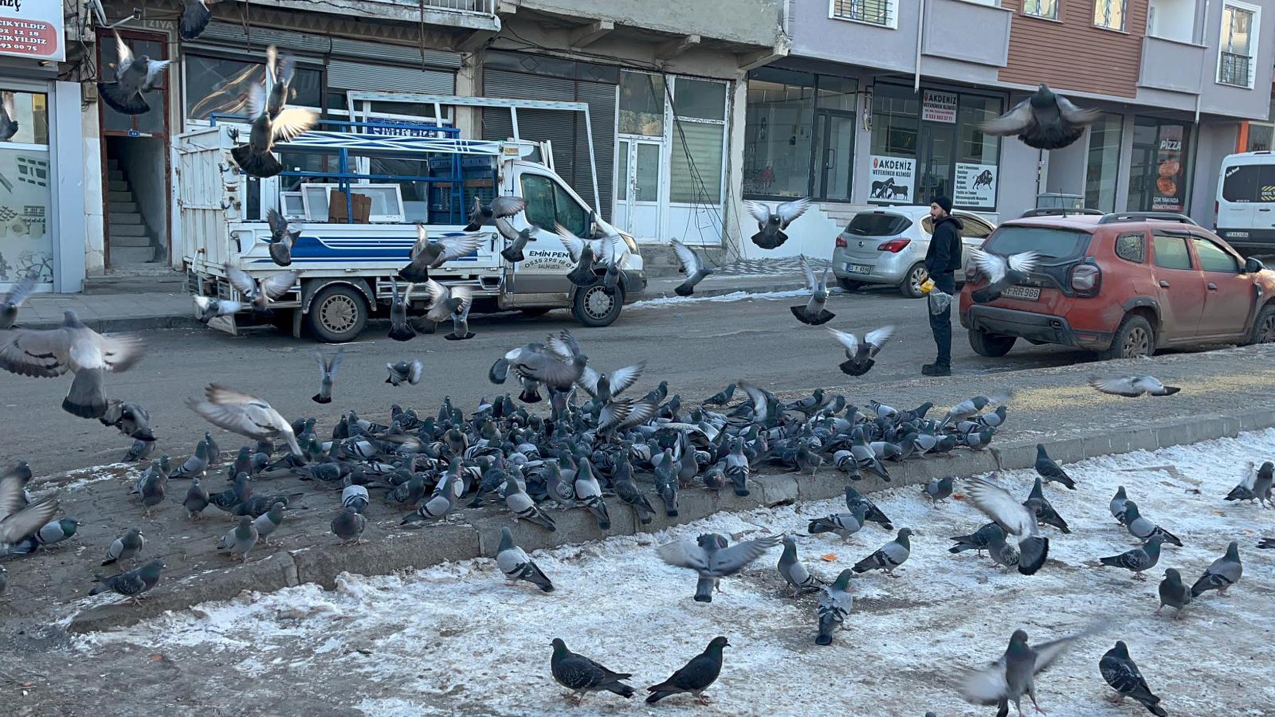 A R D A H A N’ D A E S N A F S O G U K H A V A D A Y I Y E C E K B U 1071063 317839