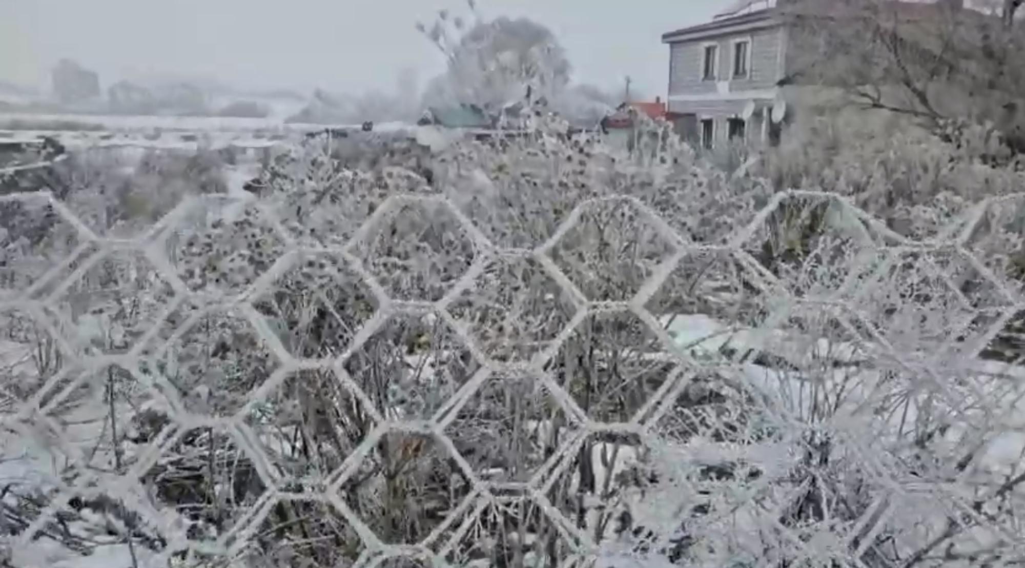 A R D A H A N I N G O L E I L C E S I E K S I 20 Y I G O R D U 1069303 317295