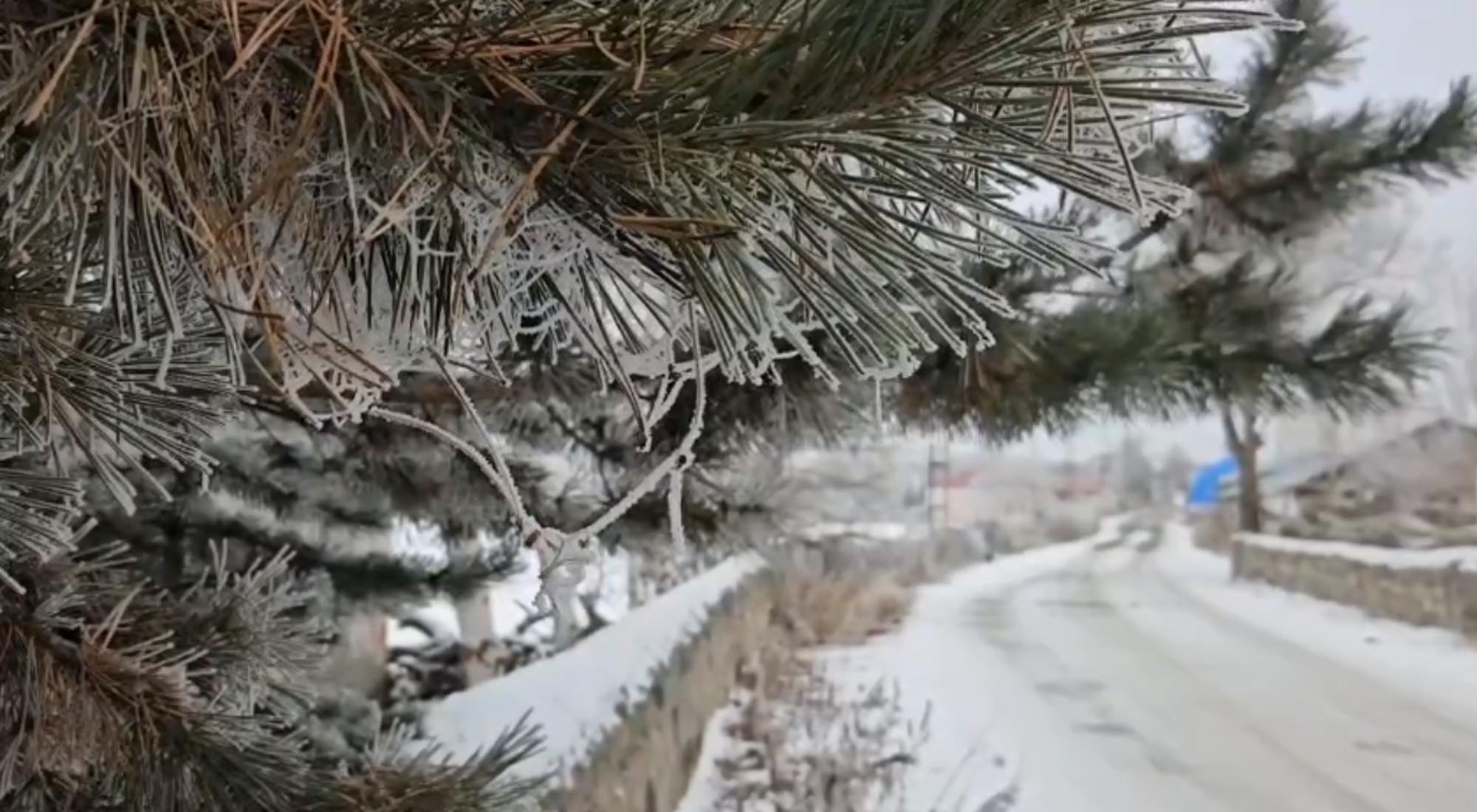 A R D A H A N I N G O L E I L C E S I E K S I 20 Y I G O R D U 1069304 317295