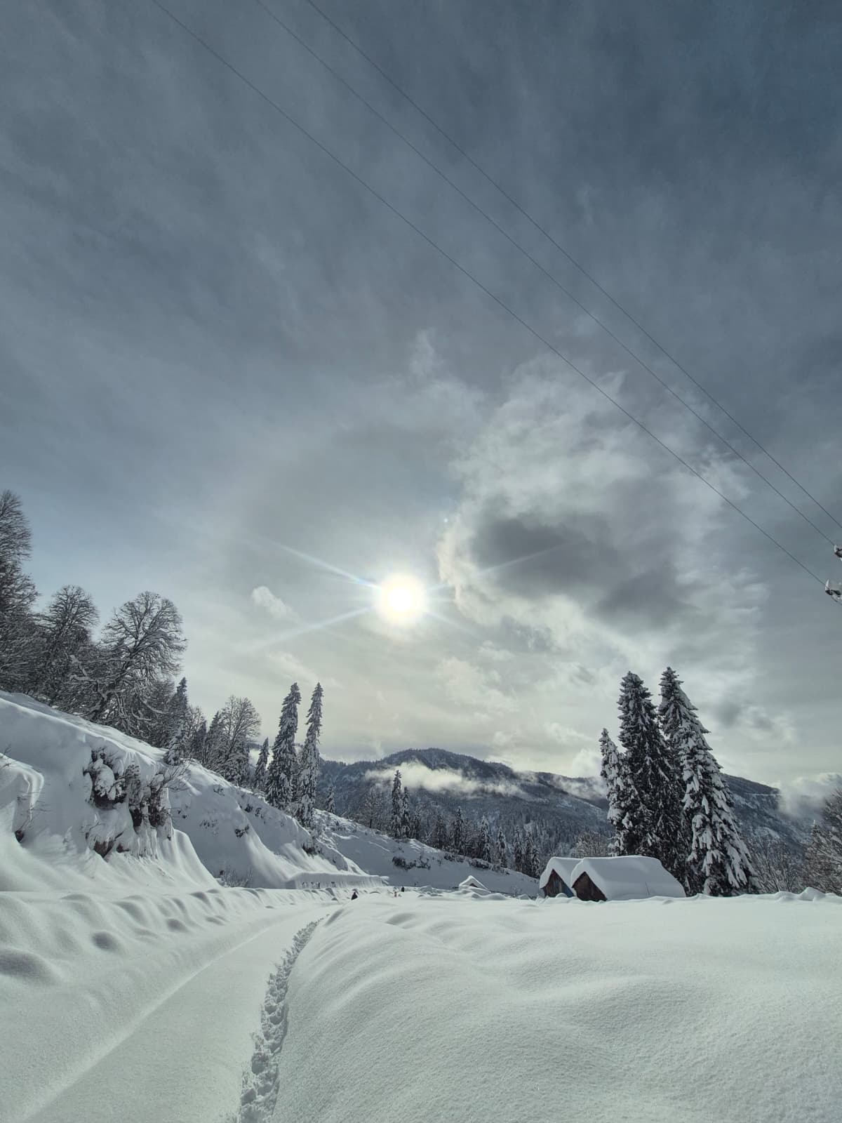 A R T V I N D E 203 K O Y Y O L U K A R D A N K A P A N D I 1088037 322959