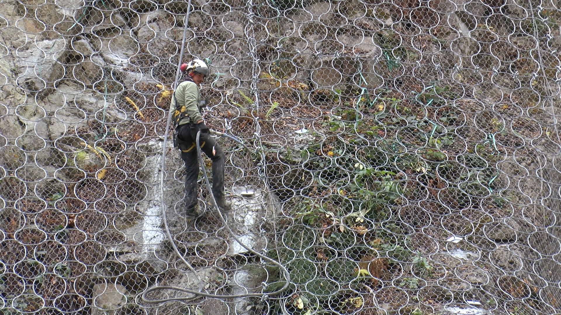 A Y D E R’ D E K A Y A R I S K I N E K A R S I C E L I K O R G U L U 1046243 309141