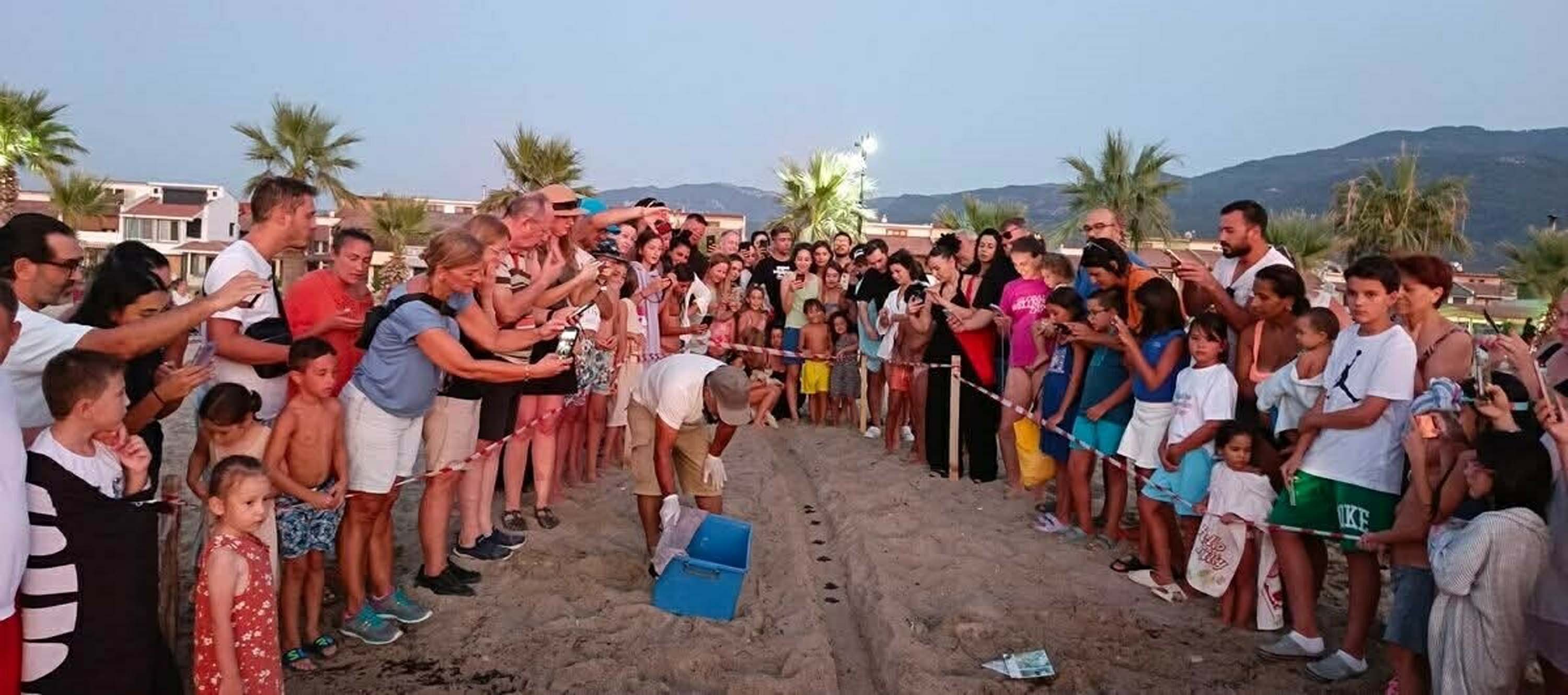 A Y D I N V E I Z M I R D E 457 C A R E T T A C A R E T T A Y A 1087933 322935