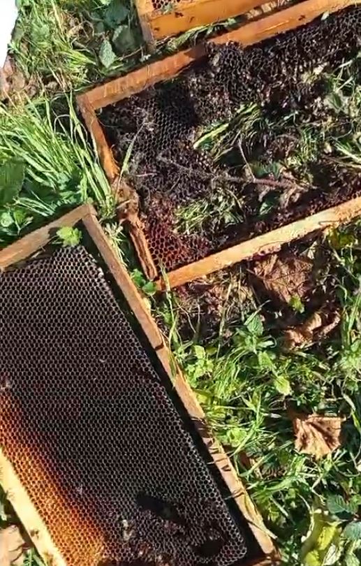 A Y I A R I K O V A N L A R I N I P A R C A L A D I 1049643 311492