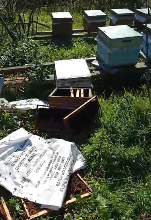 A Y I A R I K O V A N L A R I N I P A R C A L A D I 1049644 311492