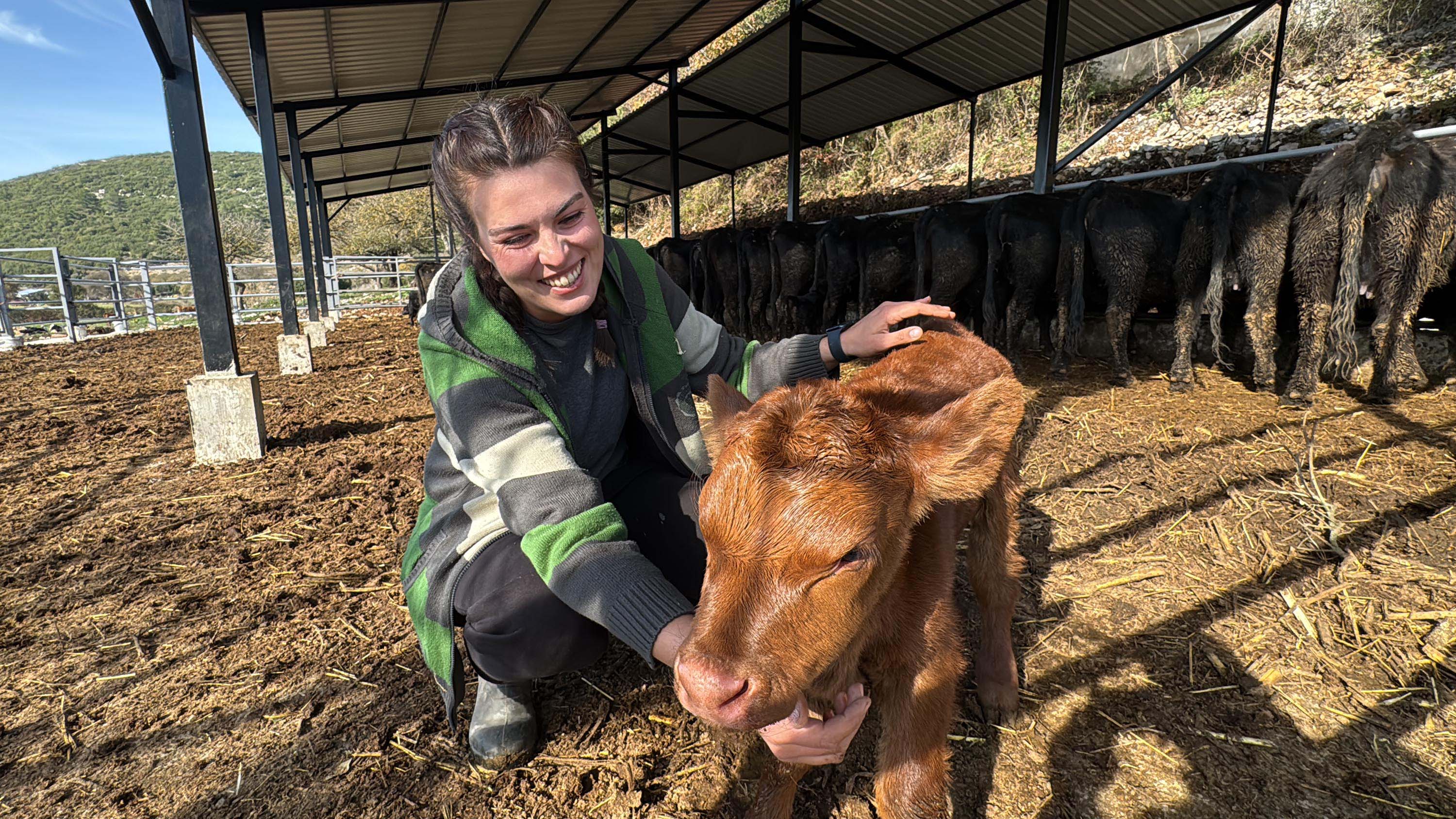 B A K A N L I K P R O J E S I Y L E H A Y V A N C I L I G A B A S L A Y A 1060966 314864