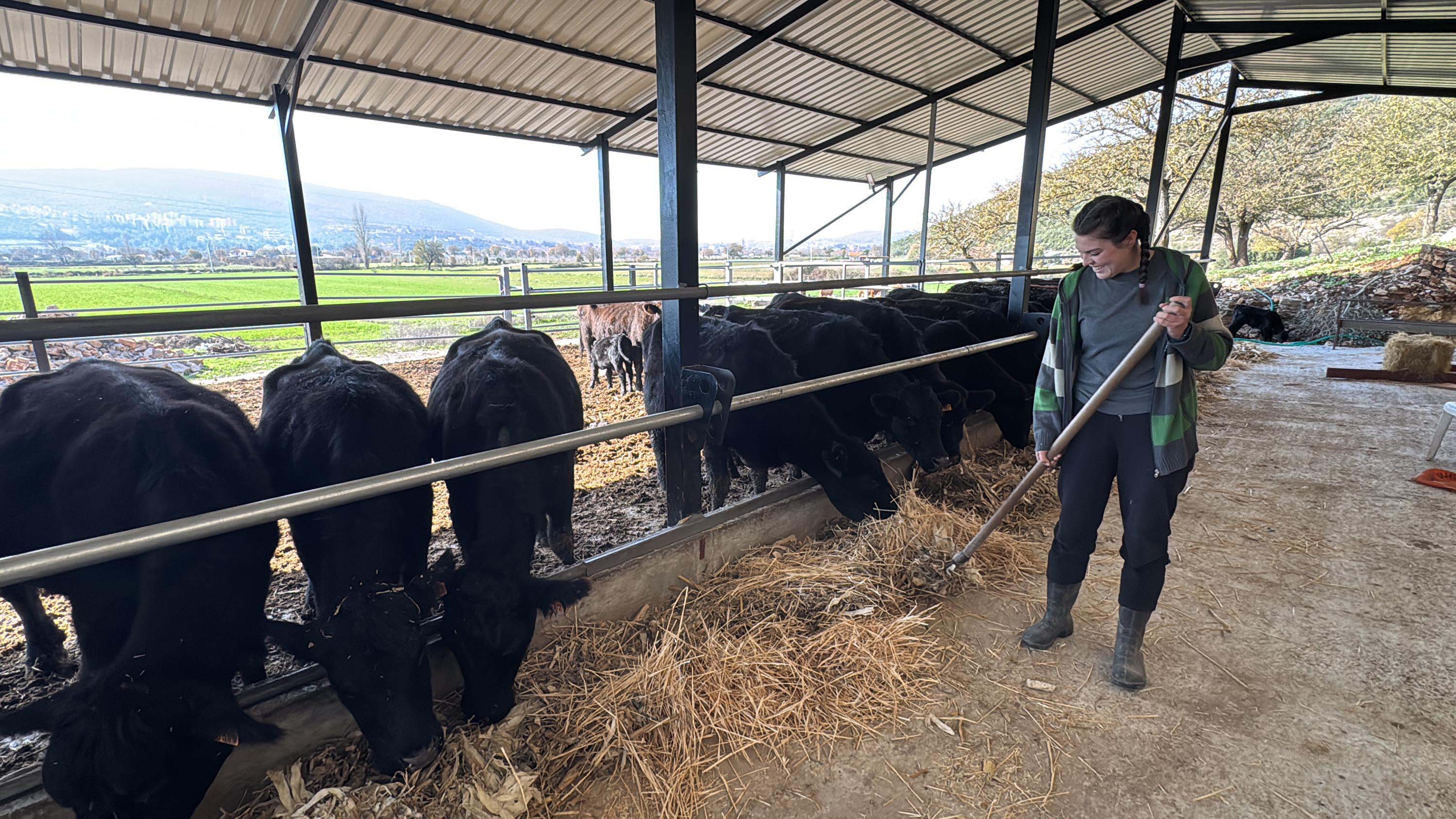 B A K A N L I K P R O J E S I Y L E H A Y V A N C I L I G A B A S L A Y A 1060968 314864