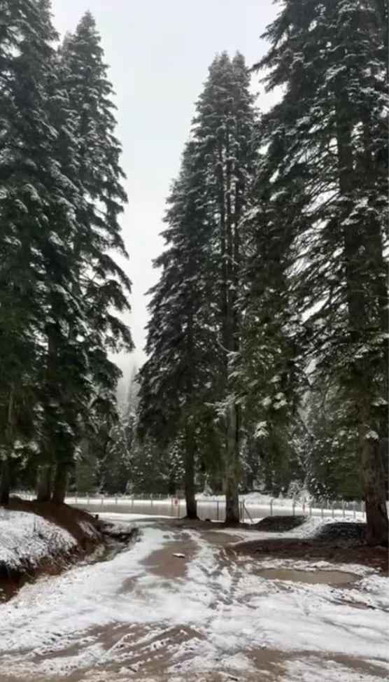 B A R T I N I N Y U K S E K K E S I M L E R I N E I L K K A R D U S 1059153 314329