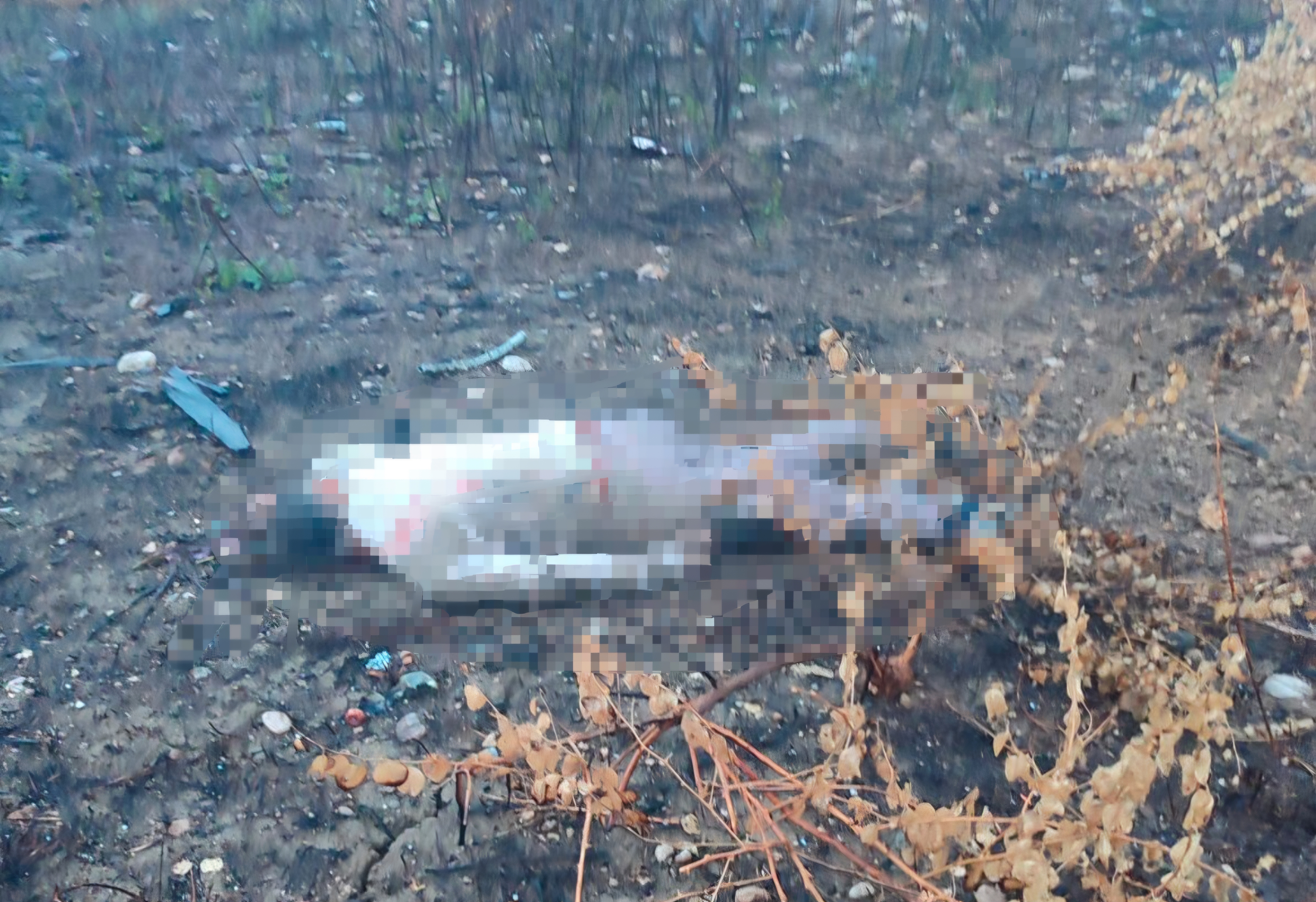 B E T O N B A R I Y E R E C A R P A N O T O M O B I L S U R U C U S U N 1054186 312803