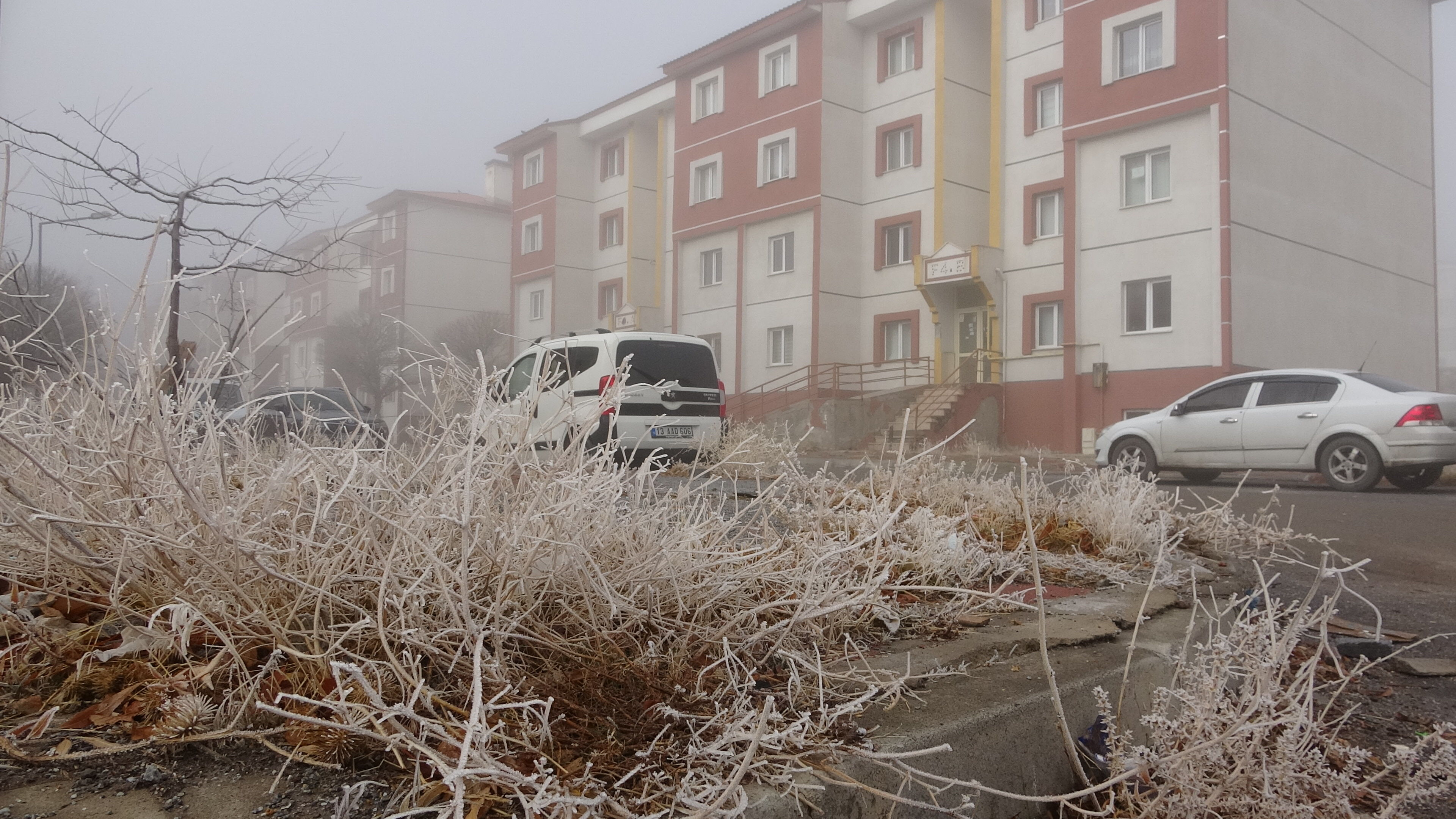 B I T L I S’ T E S I S E T K I L I O L D U 1046992 310688