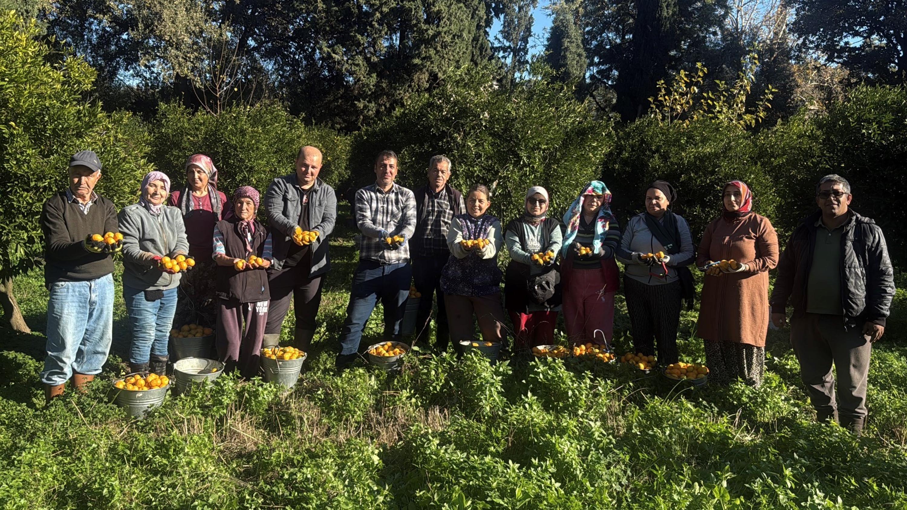 B O D R U M M A N D A L I N A S I B A H C E D E 15 20 M A N A V L 1062306 315235