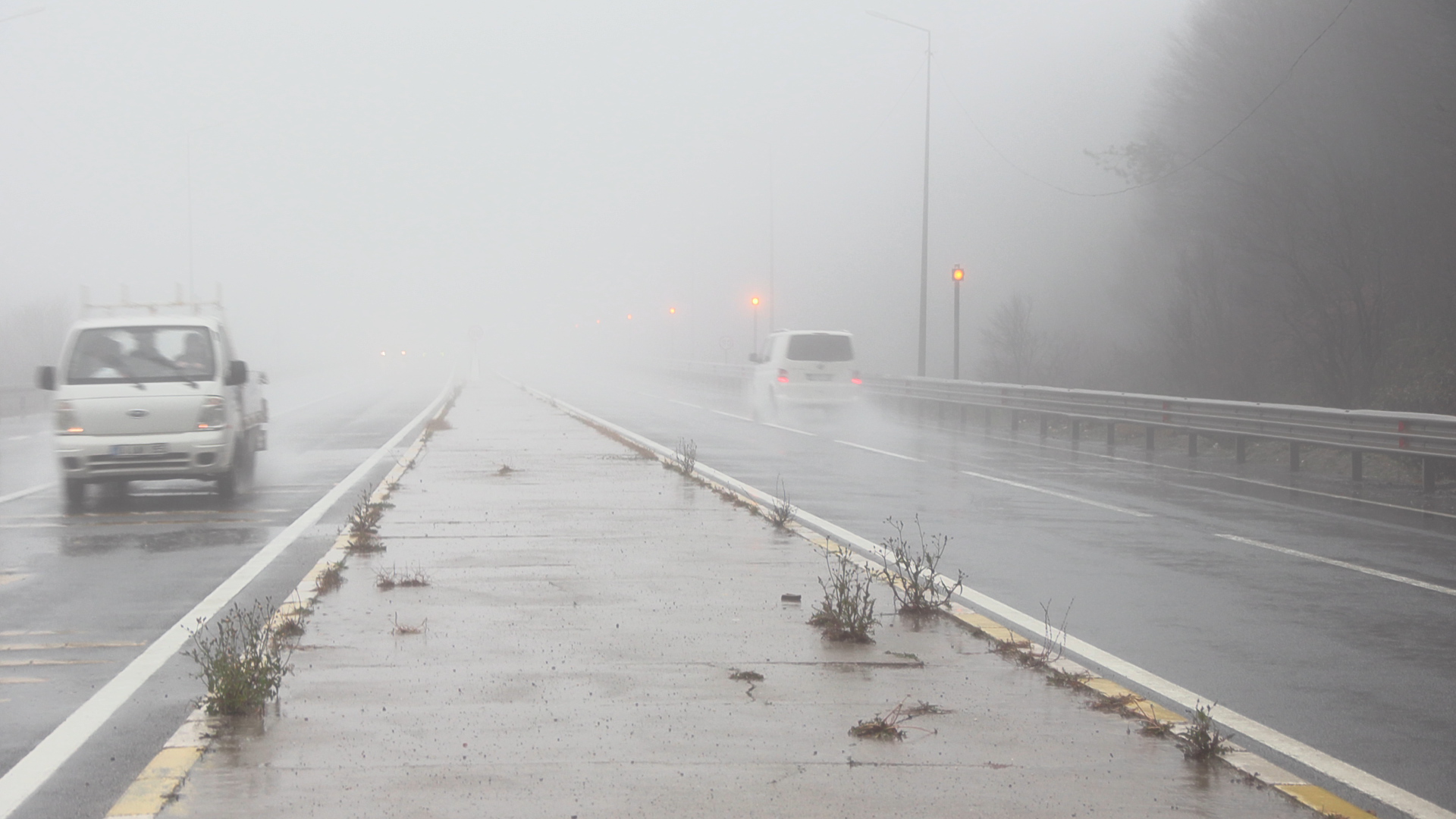 B O L U D A G I’ N D A S I S V E S A G A N A K 1053031 312440