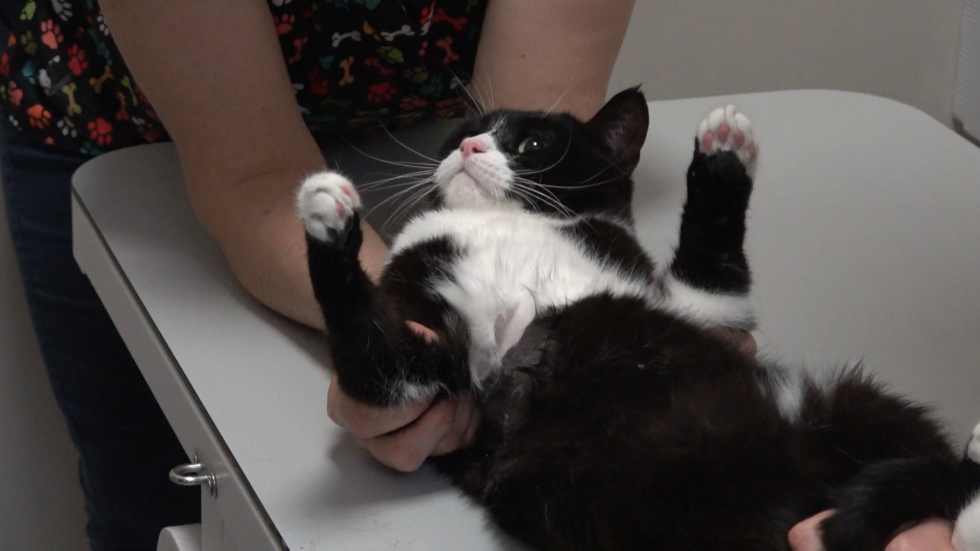 B U R S A D A S O K A K C A N L A R I N A U C R E T S I Z K I S I 1087126 322686