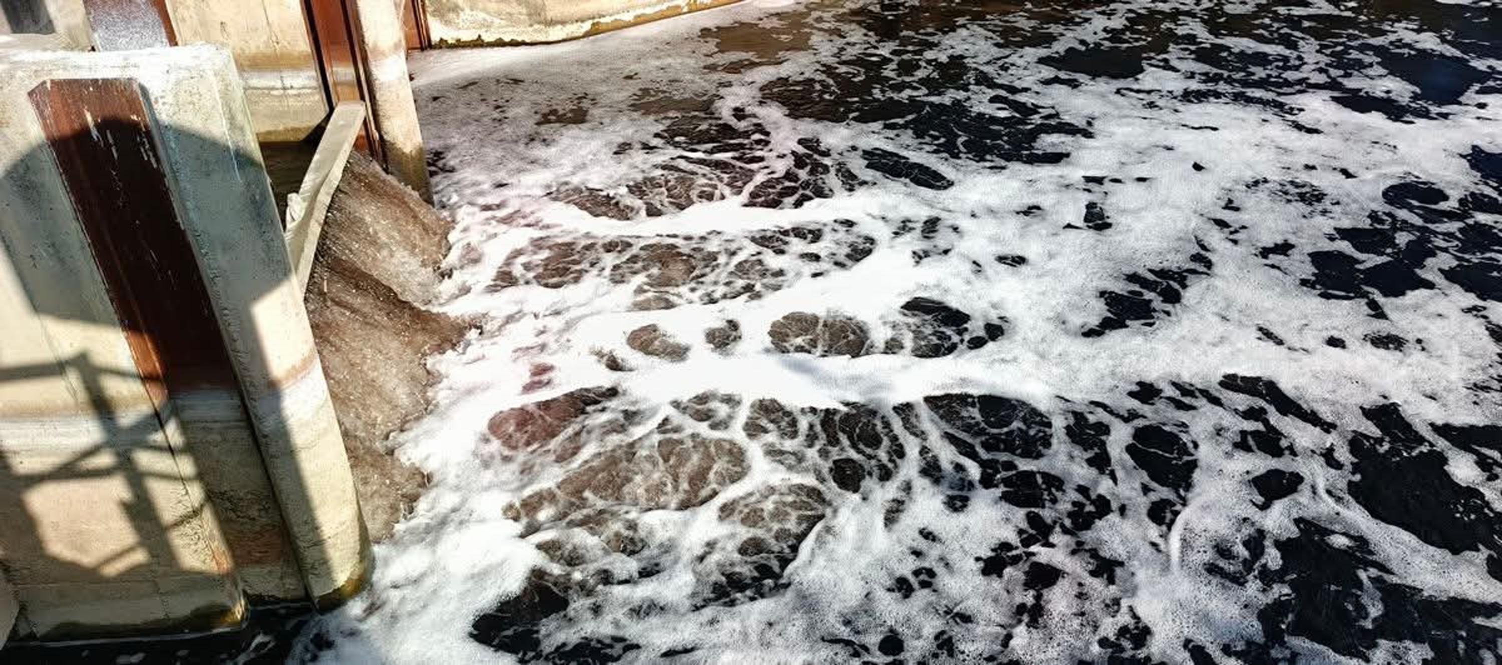 B U Y U K M E N D E R E S N E H R I K I R L I L I K N E D E N I Y L E 1084624 321917