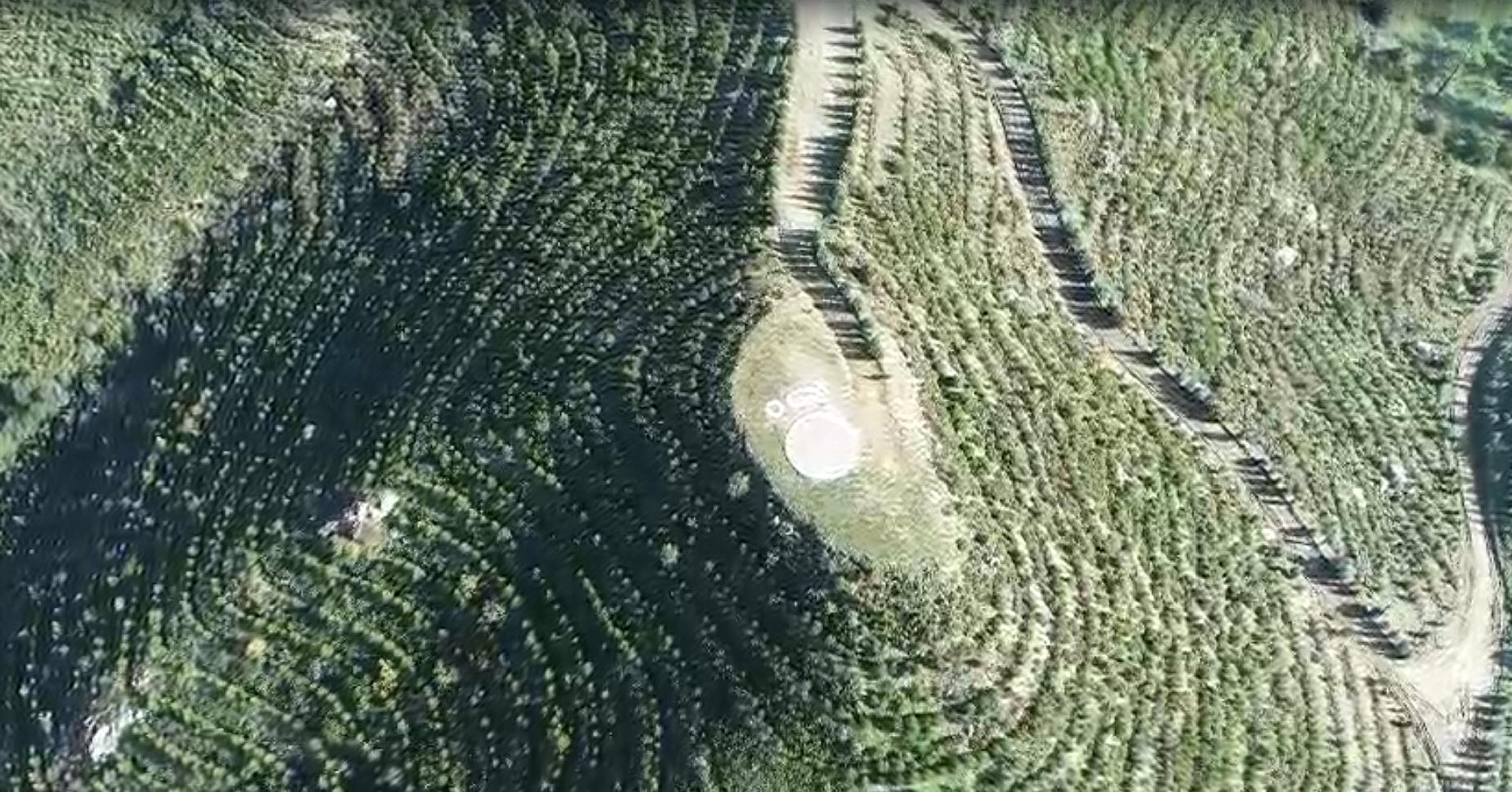 D A L A M A N D A Y A N A N A L A N L A R T E K R A R Y E S E R D I 1069684 317417