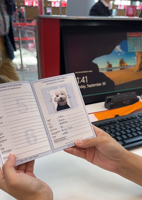 D U N Y A T U R U N D A K I K O P E K ‘ T O F U’ I S T A N B U L H 1047056 310716