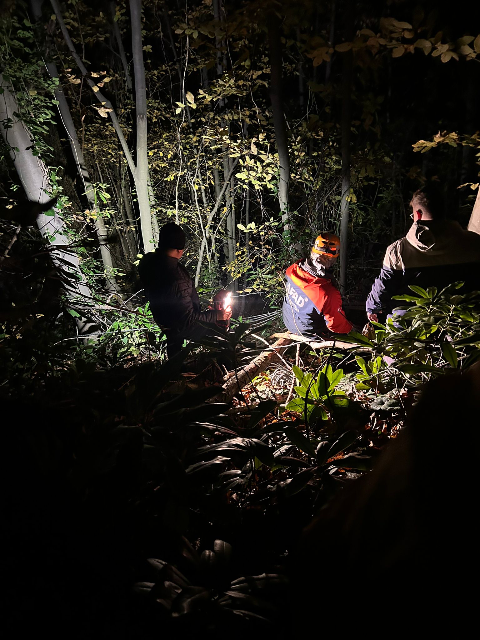 E N G E B E L I A R A Z I D E D U S E R E K Y A R A L A N A N O R M A N 1068116 316959