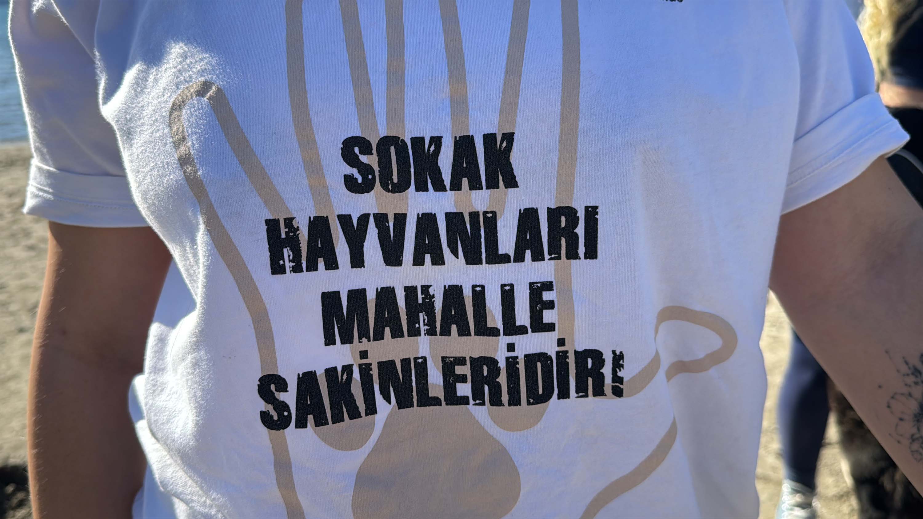 H A Y V A N S E V E R L E R D E N C A N D O S T L A R I S A H I P L E N 1046715 310600