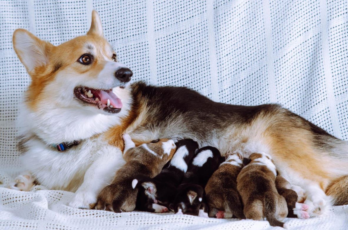 I N S A N L A R I C I N K U L L A N I L A N A G R I K E S I C I L E R 1077251 319650