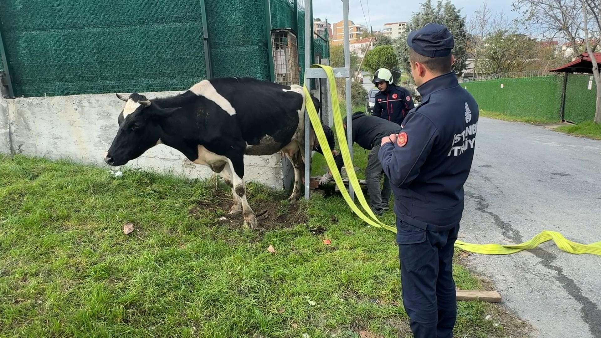 I S T A N B U L A V C I L A R D A D I R E K I L E D U V A R A R A 1057355 313796