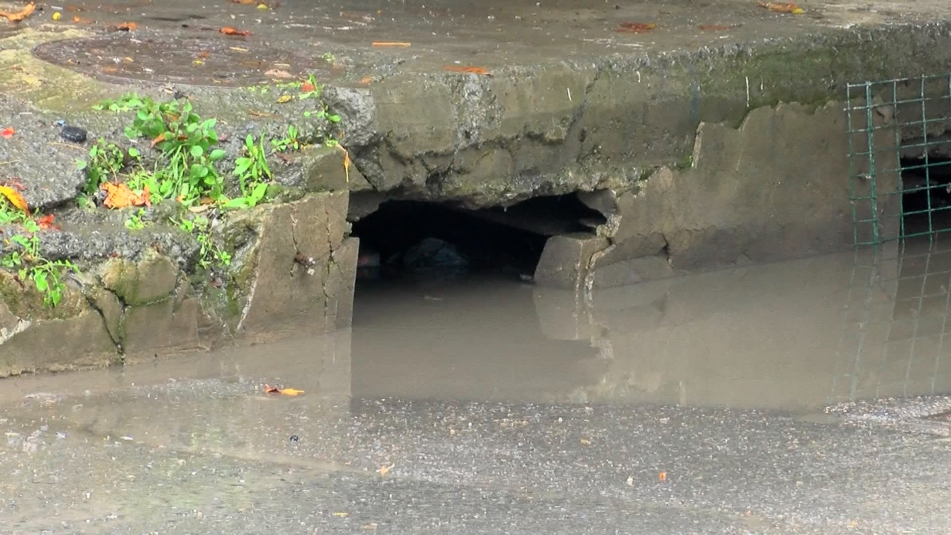 I S T A N B U L F A T I H’ T E G O L E D O N E N A L T G E C I T T 1051963 312149