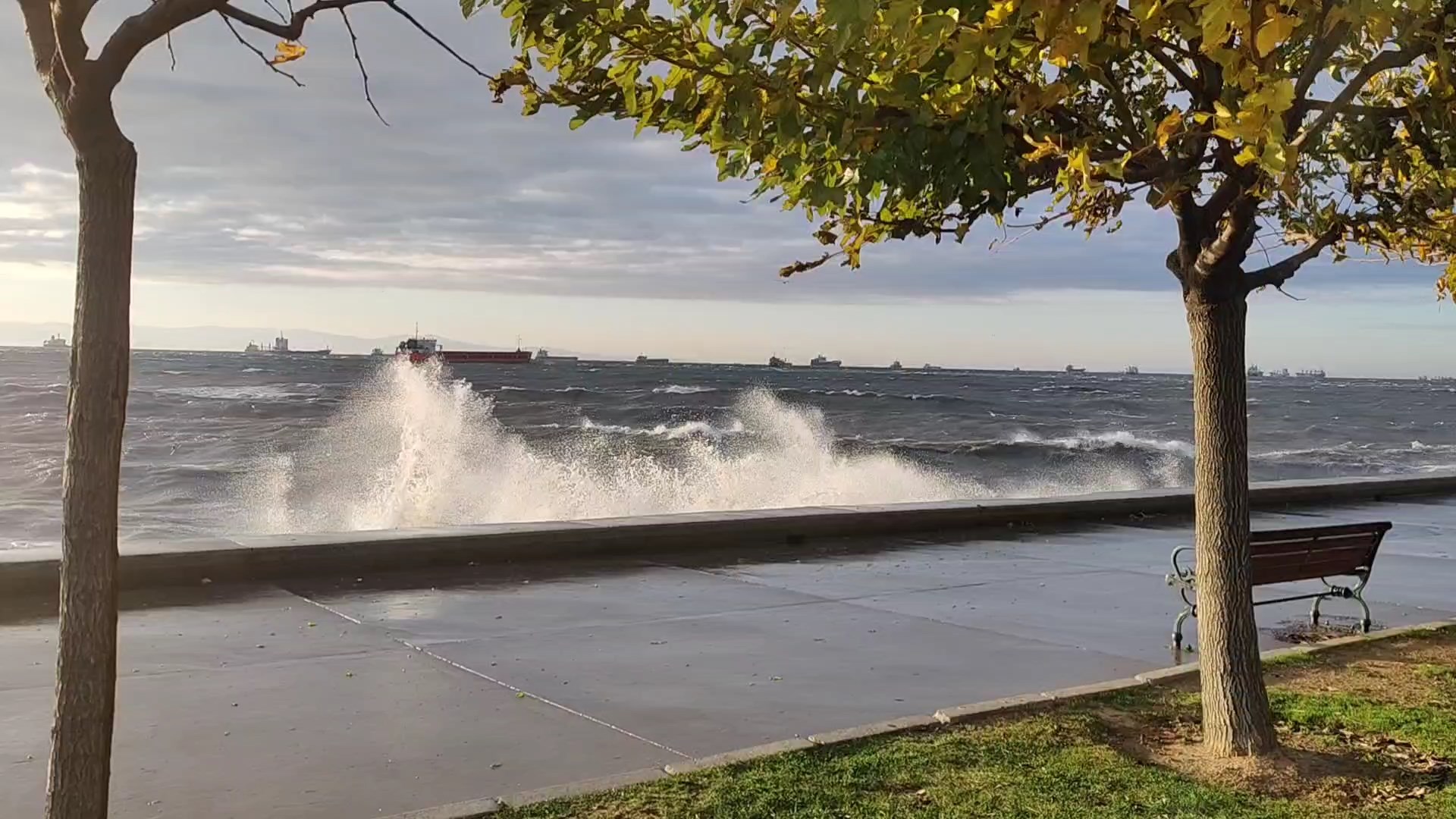 I S T A N B U L I S T A N B U L D A B A Z I V A P U R S E F E R L E 1087363 322768