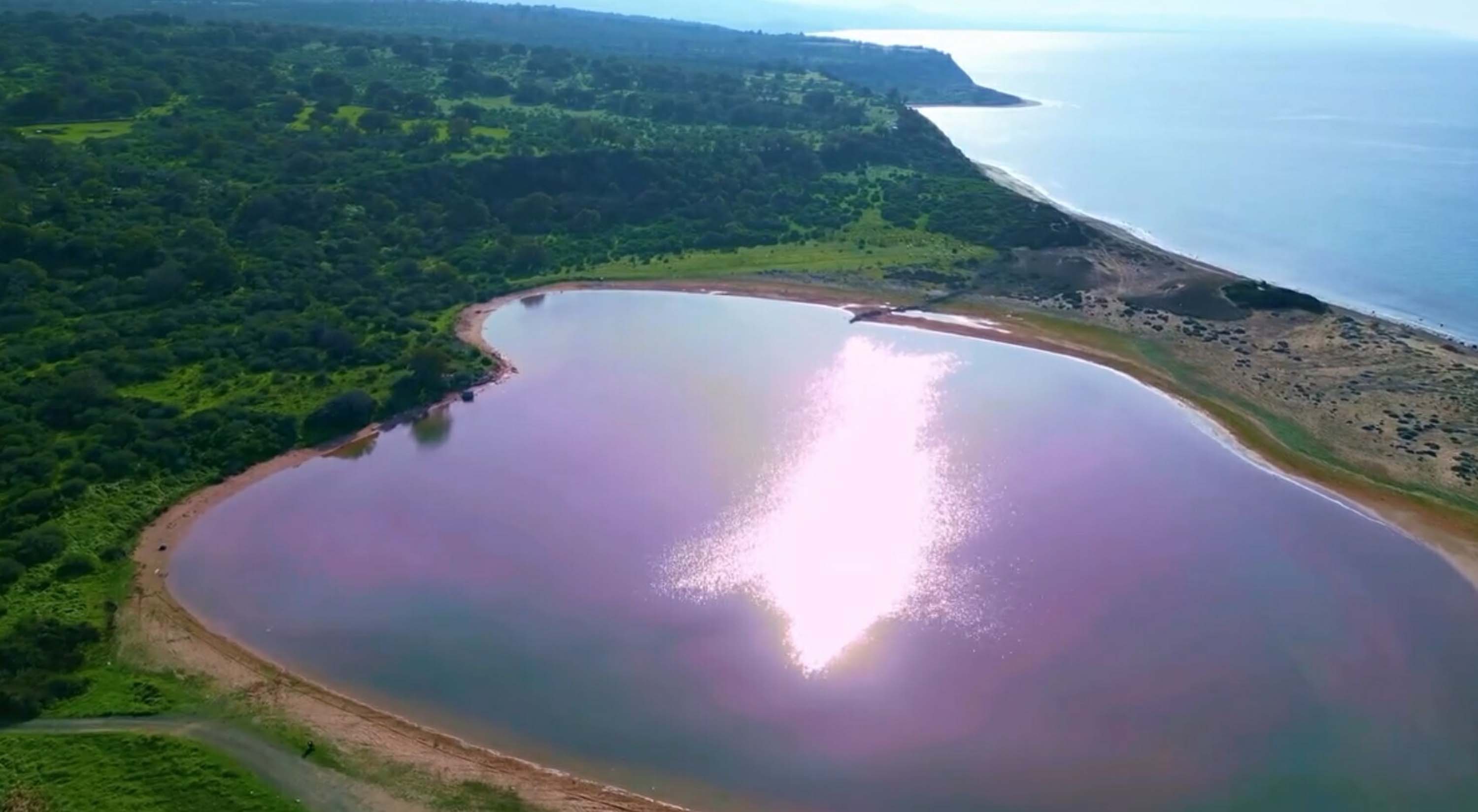 K A L P L I G O L E J A N D A R M A K O R U M A S I 1061330 314985