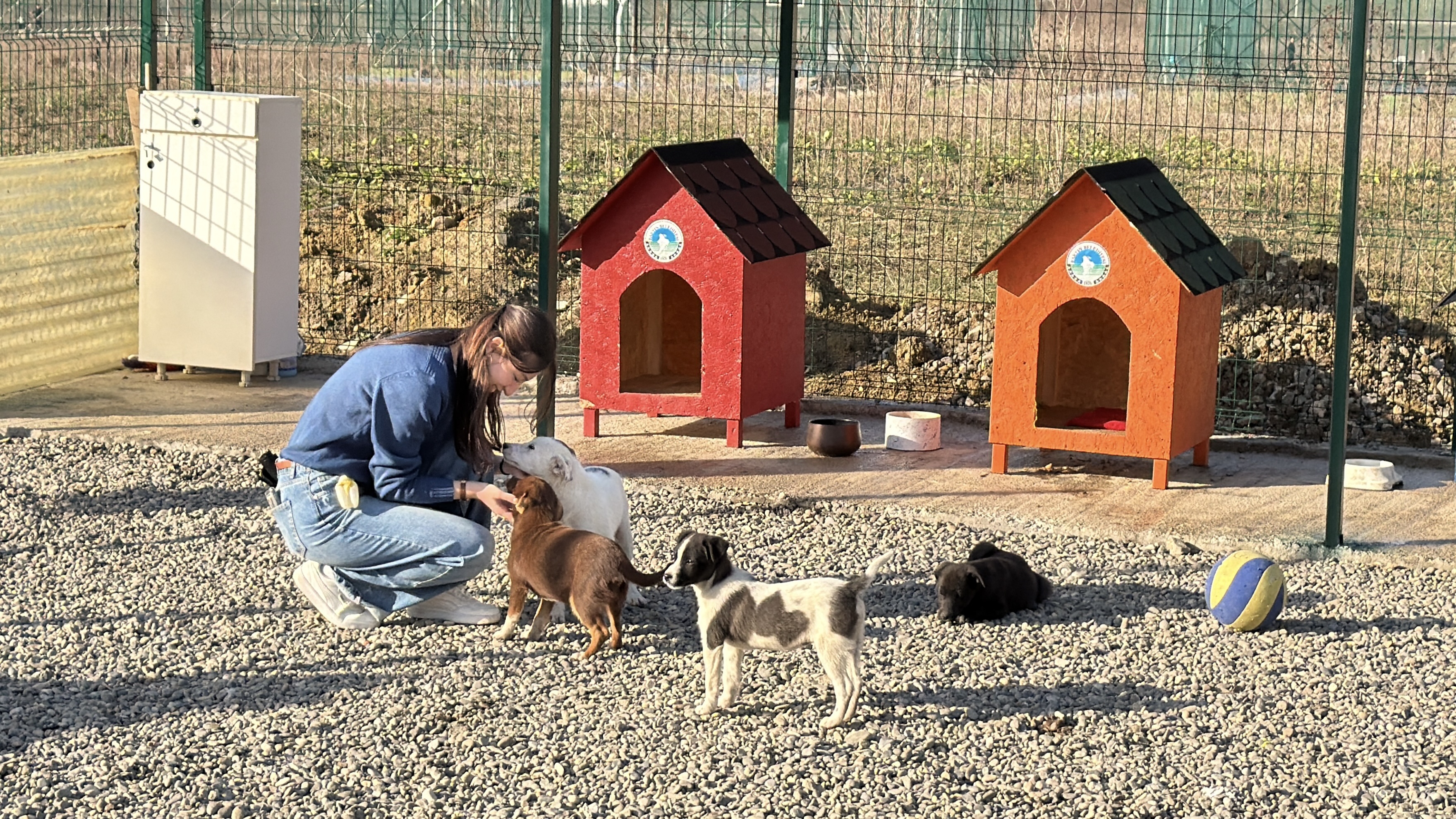 K A M P U S T E K I H A Y V A N L A R I C I N D O G A L Y A S A M A L 1071727 318013