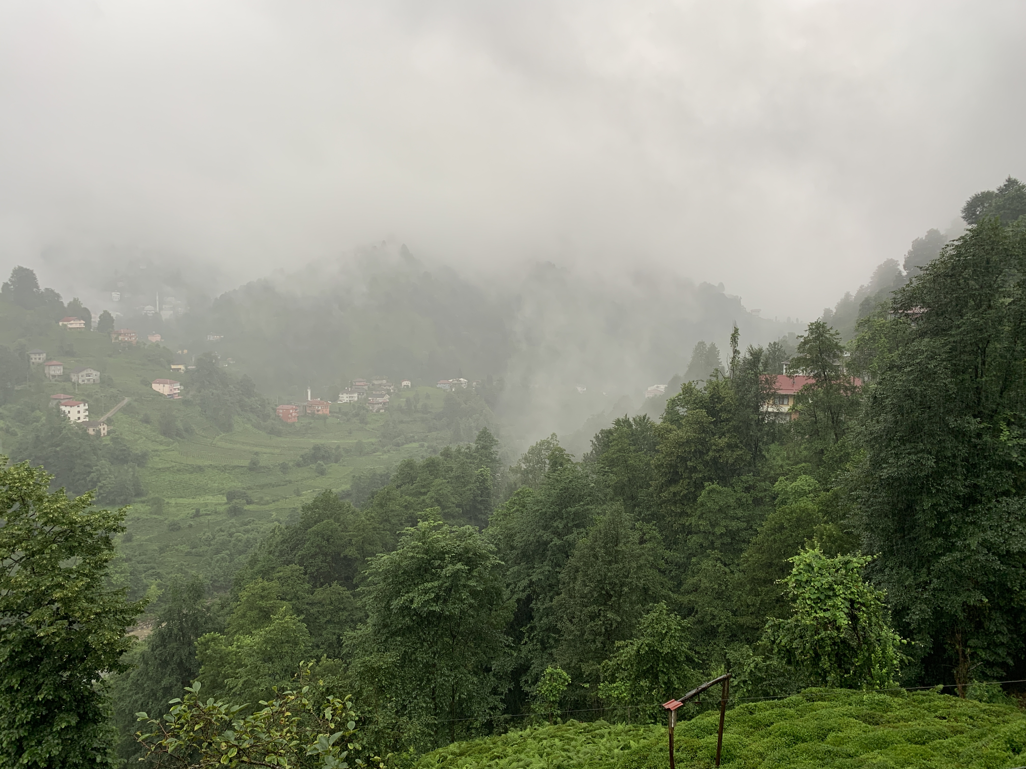 K A R A D E N I Z D E Y A G I S D E G I S I M I A L A R M I O R M A 1057213 313739