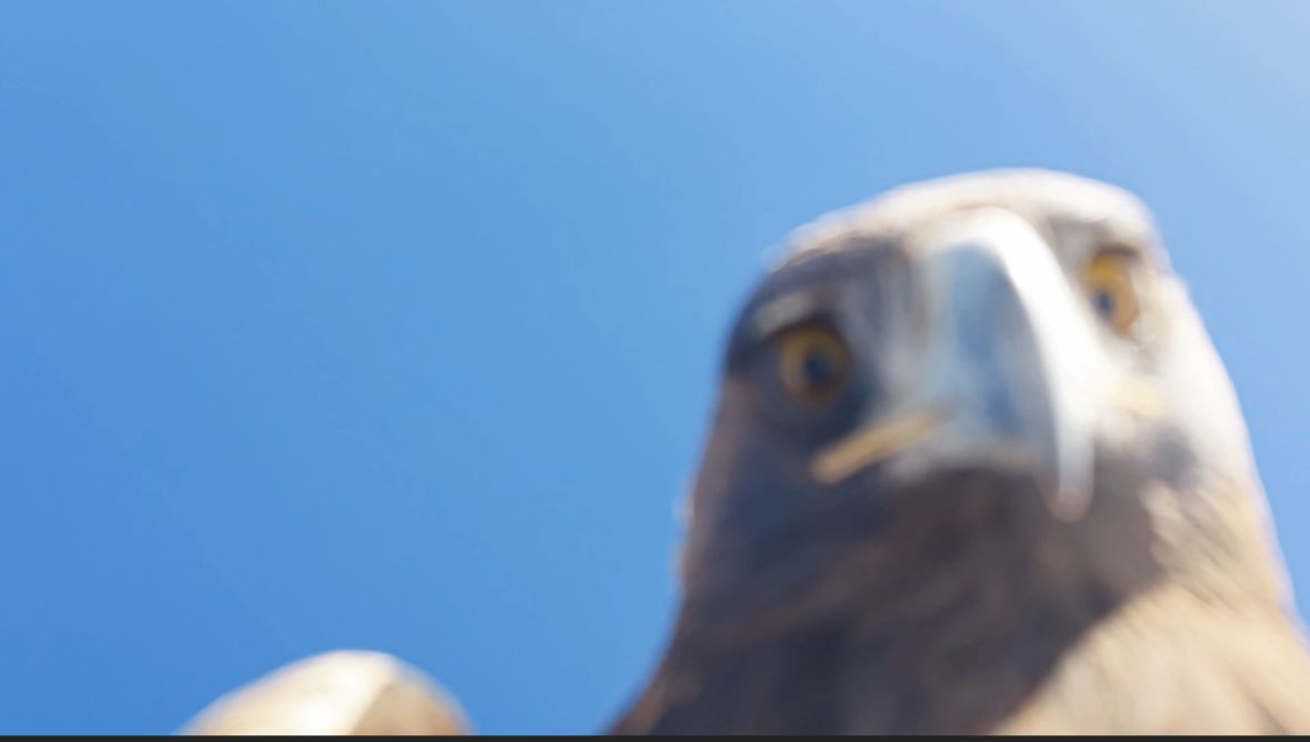 K A R T A L I N K A P T I G I D R O N 6 S A A T L I K T I R M A N I S 1077016 319551